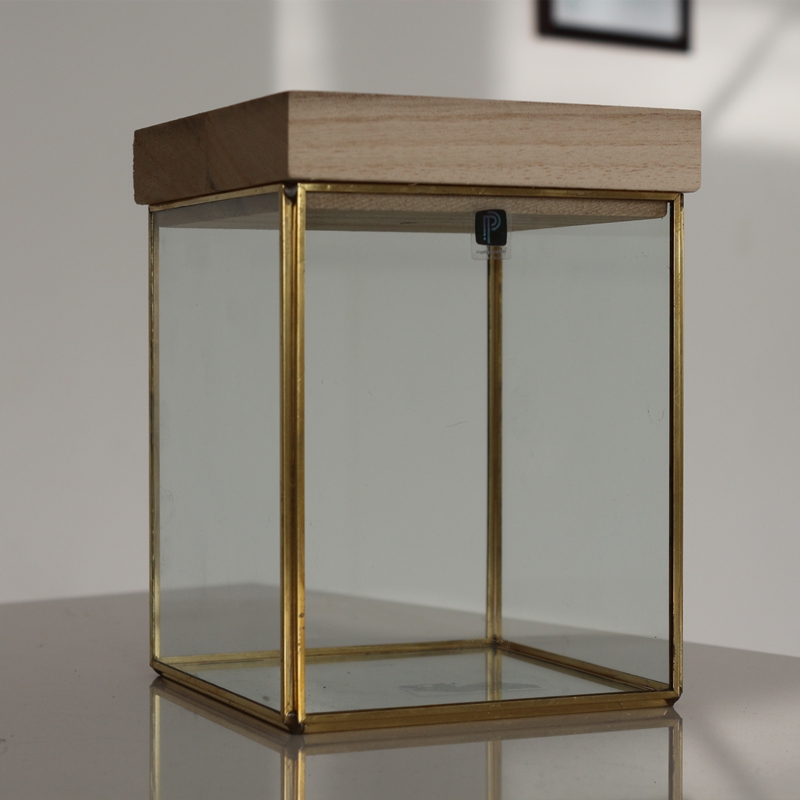New design Cube shape terrarium with best quality and low price glass vase