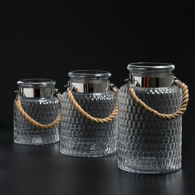 Glassware factory directly transparent glassware for home decoration flower container with handle glass flower vase