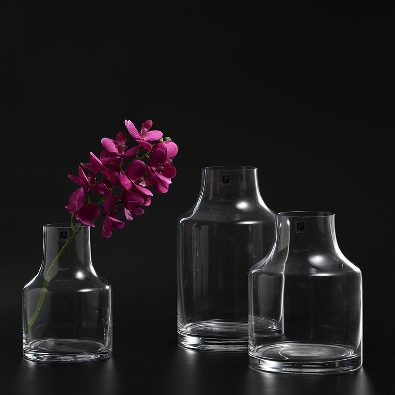 Nordic design special bubble Floral home or cafe decoration transparent hand-blown glass flower vase