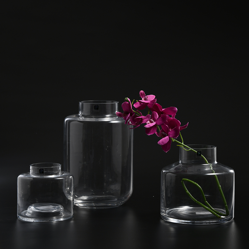 Hot selling special modern nordic design transparent hand-blown thick clear glass flower vase