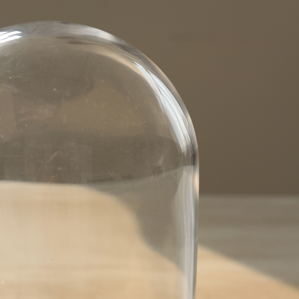 Promotional Dust-proof cake cover transparent food preservation glass dome cover