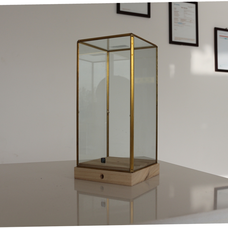 2020 popular Home Decoration made in China Clear Terrarium For Air Plants and Succulent