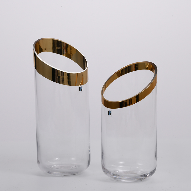 Transparent silver ring top Luxury jar tabletop design flower glass vase for home decoration