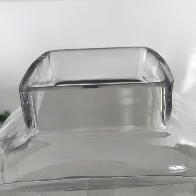 Glass vase In Dome Shaped With Green Plants or flowers For Home Desktop Decoration