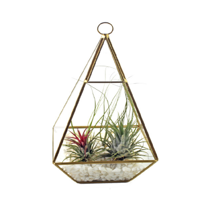 Succulent microscopic scenery terrarium counter display decorations
