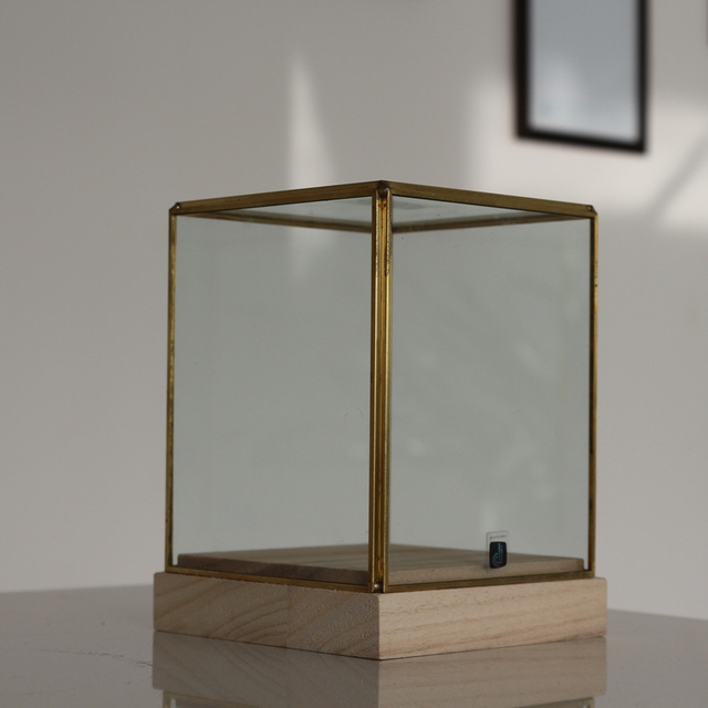 New design Cube shape terrarium with best quality and low price glass vase