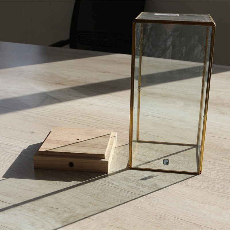 Square Glass cover wooden basic Brass Frame Flower Display Home decoration High quality glass flower terrariums